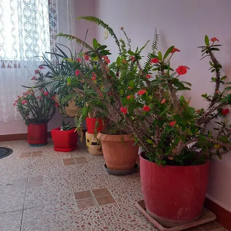 Apartament Hilltop Haven Cityview