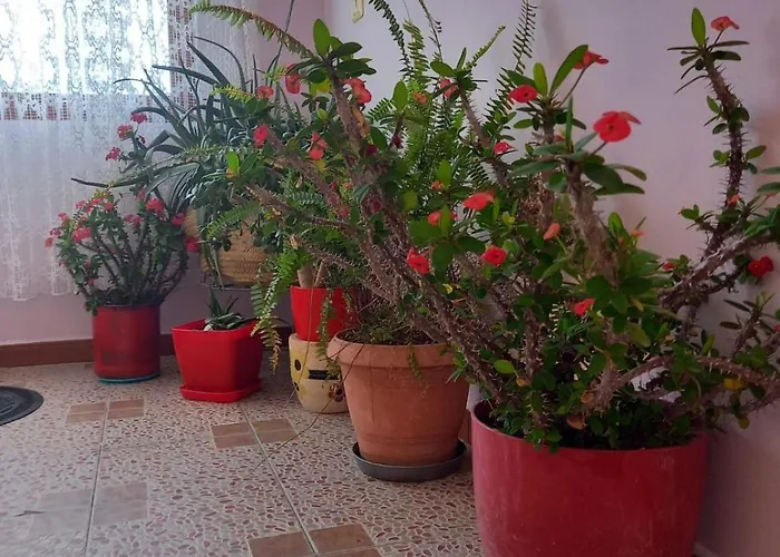 Appartement Hilltop Haven Cityview