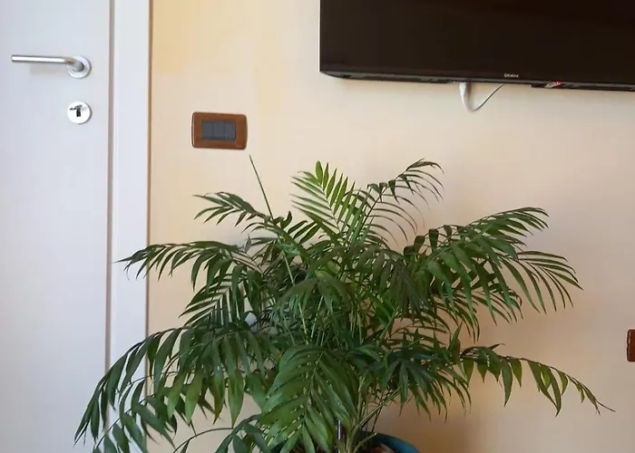 Hilltop Haven Cityview Durrës